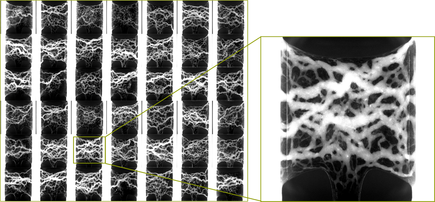 A RARE Networking Opportunity – Light up for Rare