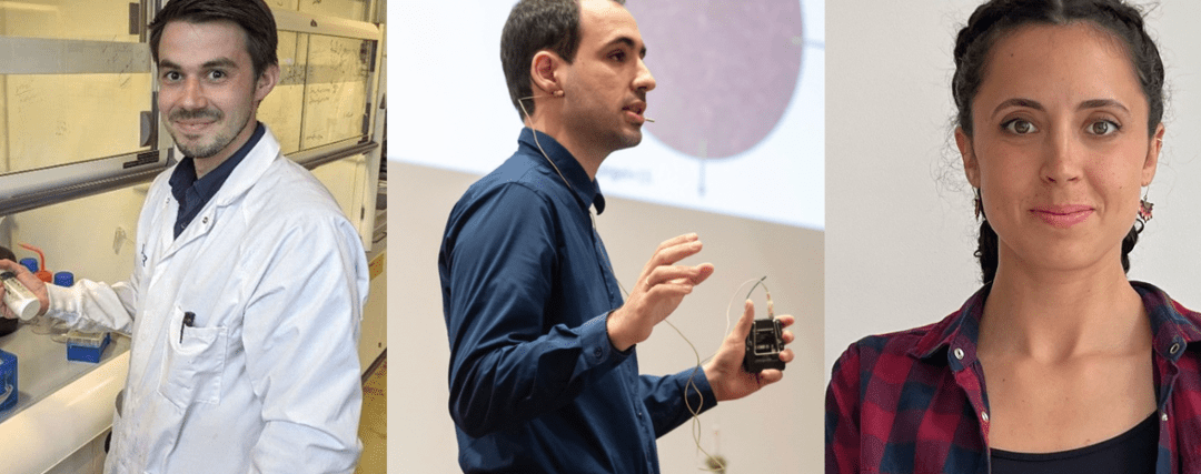 Three NWO grants for Leiden researchers exploring the unknown