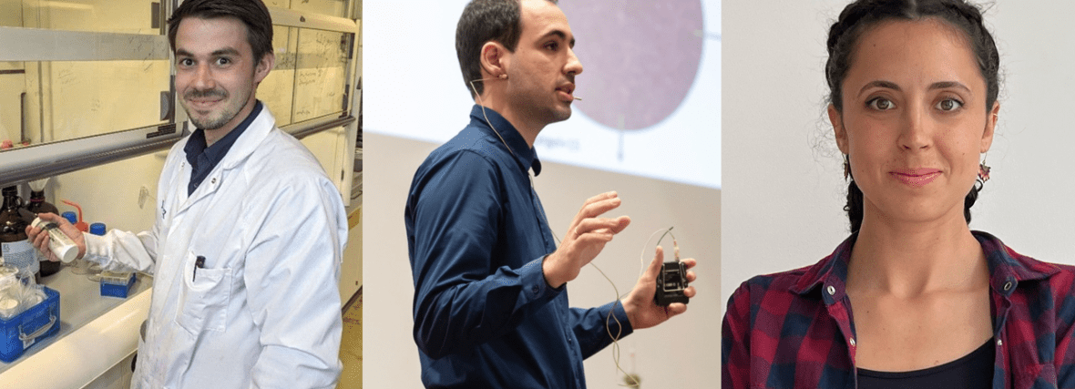 Three NWO grants for Leiden researchers exploring the unknown