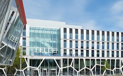Leiden University launches short courses for professionals in data, AI, and mathematics