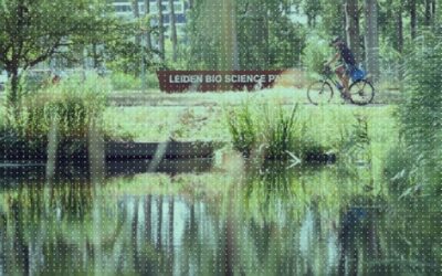 From Ornamental Grass to Thriving Nature: LBSP Boosts Biodiversity