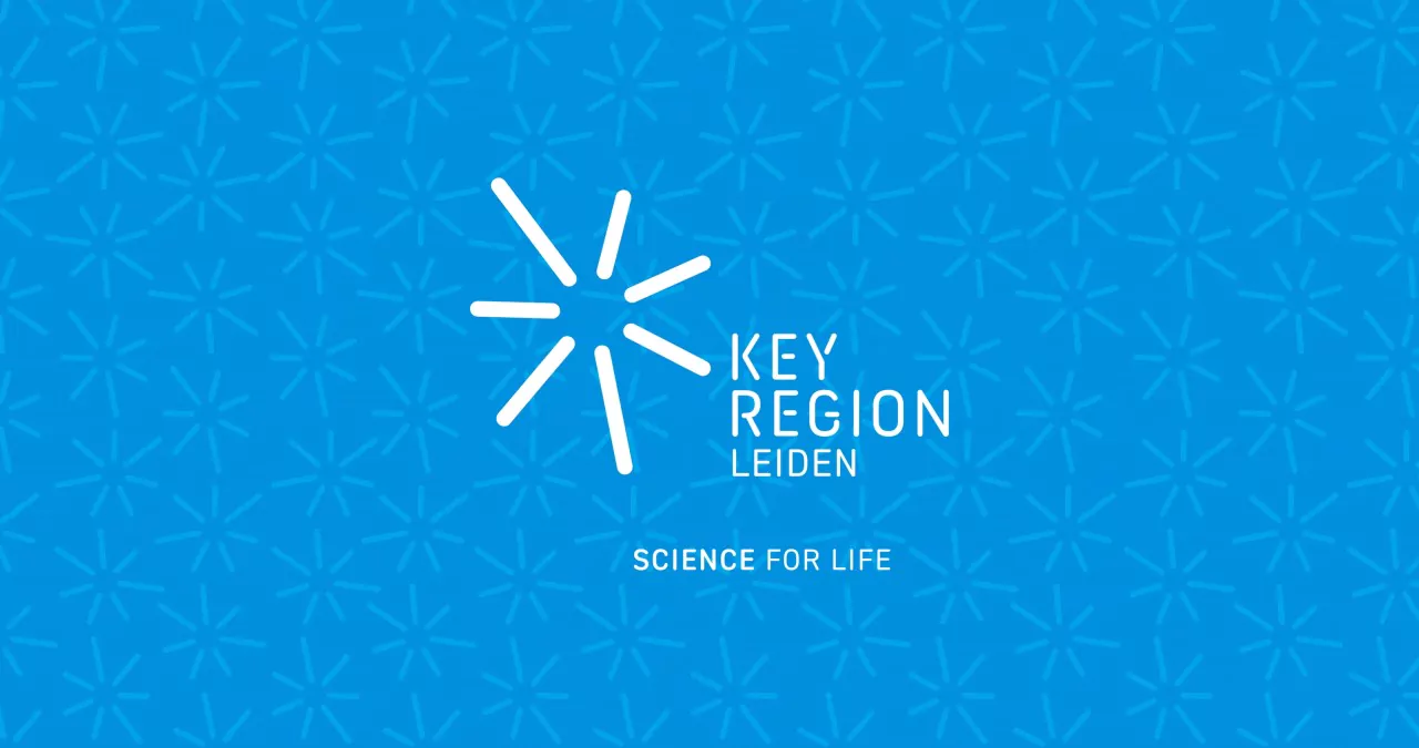 Extra Boost for SMEs in Leiden Region