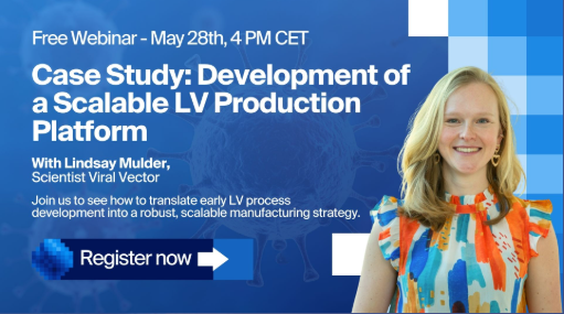 Case Study: Development of a Scalable LV Production Platform