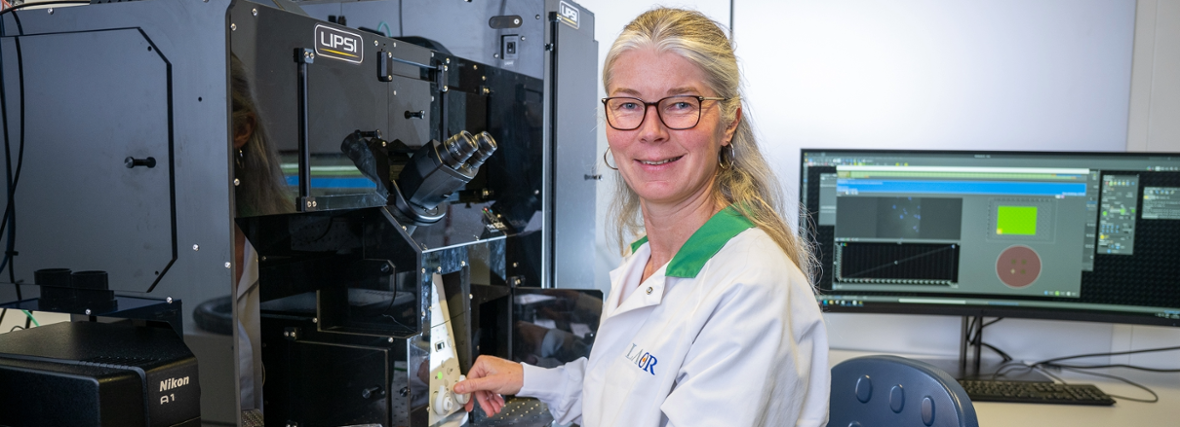 From nanoscale to whole organism: at the Cell Observatory, researchers study life in the finest detail.