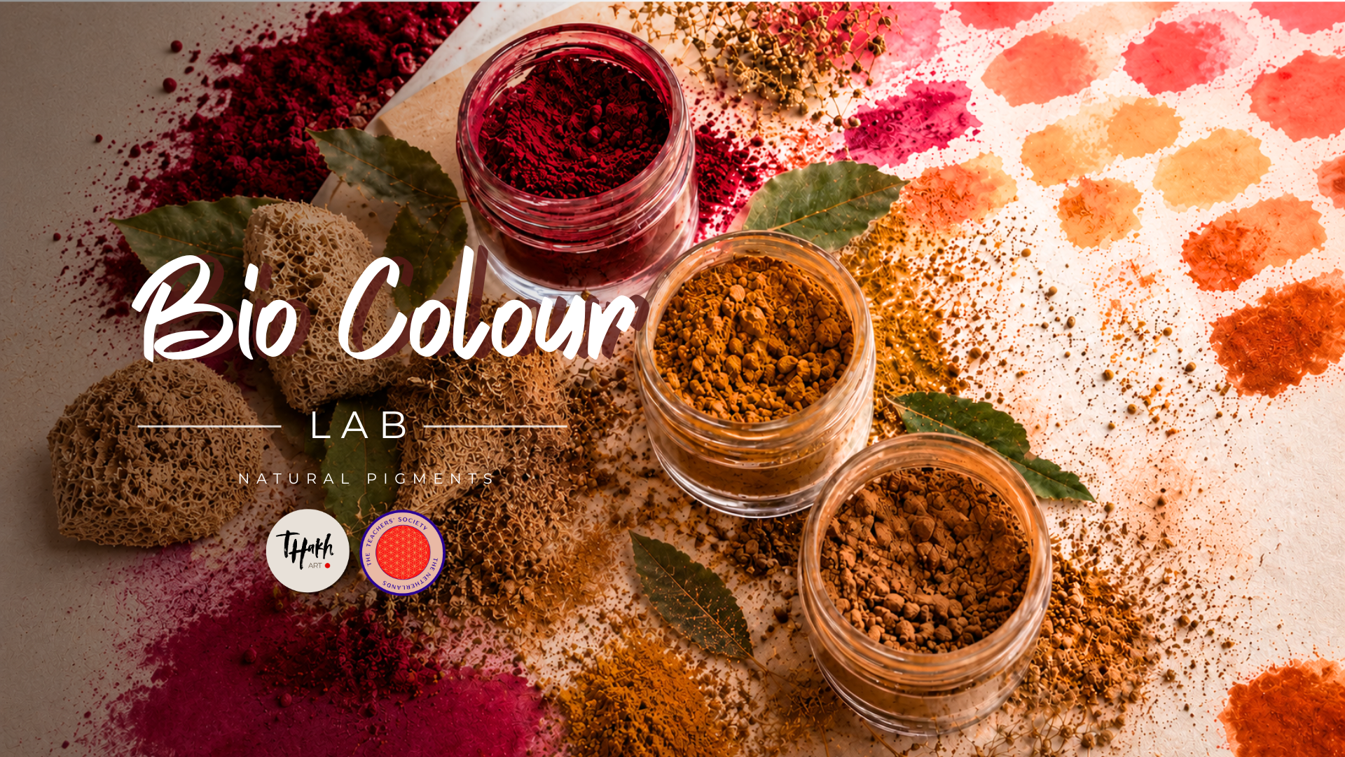 Bio Colour Lab | Dutch Bio Science Week