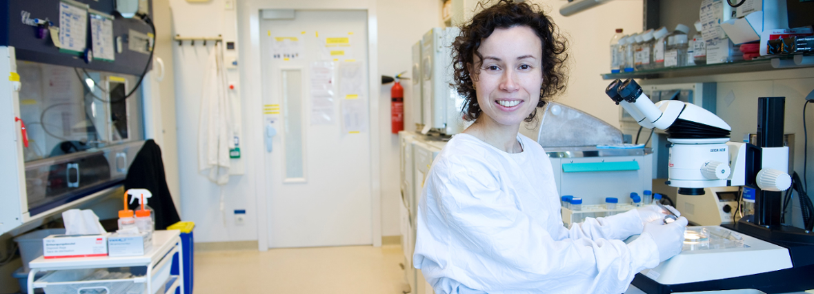 ERC Advanced Grant for research into slowing ovarian ageing