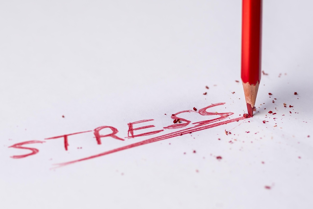 Workshop: Performing well hides exhaustion beautifully. The stress trap.